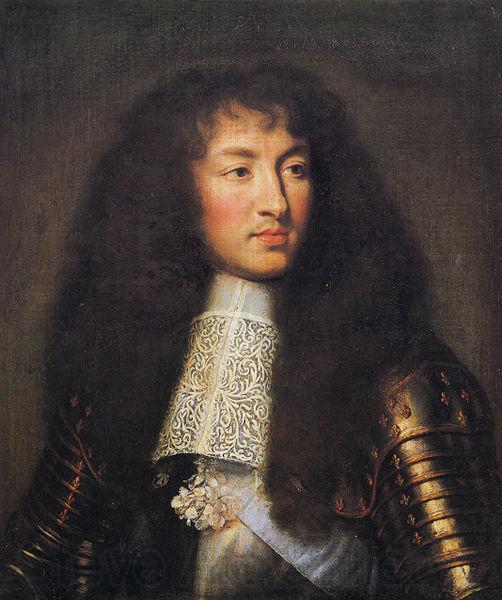 Charles le Brun Portrait of Louis XIV Spain oil painting art